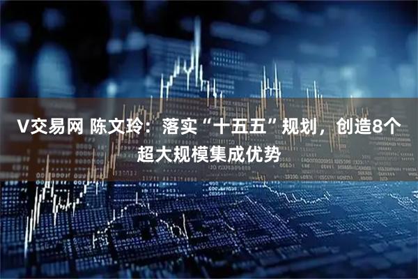 V交易网 陈文玲：落实“十五五”规划，创造8个超大规模集成优势