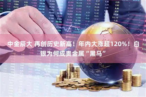 中金辰大 再创历史新高！年内大涨超120%！白银为何成贵金属“黑马”
