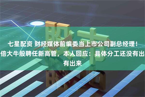 七星配资 财经媒体前编委当上市公司副总经理！十倍大牛股聘任新高管，本人回应：具体分工还没有出来